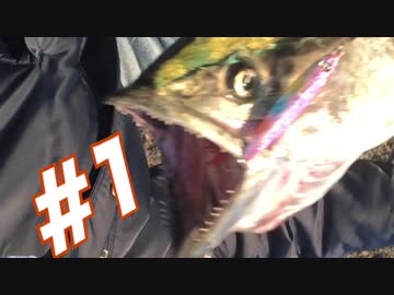 【釣り】二人で釣り納めに行ってきた2017 part01【アウトドア】