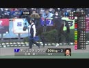 2017年　第140回 中山大障害（J・GⅠ）【パドックVTR】