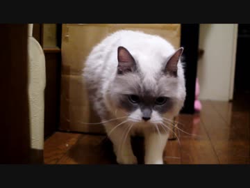 ニュルッとはいってニュルッとでてくる