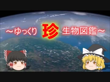 ～ゆっくり　珍　生物図鑑～　新・61回