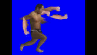 野獣の拳