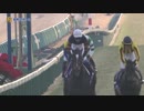 【青嶋達也】2017年 第62回有馬記念【キタサンブラック】