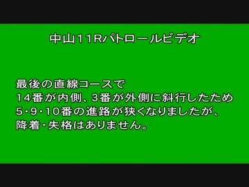 2017年　第62回 有馬記念（GⅠ）《直線・パトロールビデオ》