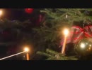 ドイツ語圏クリスマスソング Der Christbaum ist der schönste Baum 【翻訳字幕付】