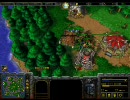 【WC3】Warcraft3 ウォークラフト3 鬼畜MilitiaRush