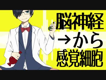 【人|力】天|才.ロ.ッ|ク【u|t.っぽ|いど】