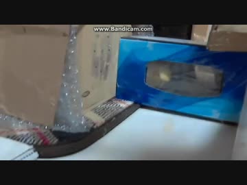 【オカメインコ】 りりぃ後ろ歩きでハウスに戻るぉ～♪
