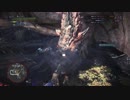 【MHWβ】リオレウス討伐　狩猟笛　罠閃光爆弾オトモなし　10分55秒くらい