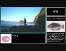 フカセ釣り釣行記　part2【高知県須崎 神島のオオバエ】