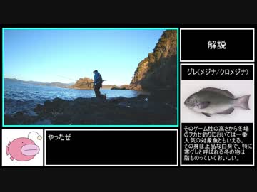 フカセ釣り釣行記　part2【高知県須崎 神島のオオバエ】