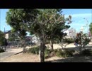 【速報】ゴルスマ姉貴が撮影に使った公園特定される. pic.twitter.com/LWaNszABbg