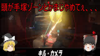 ゆっくり達がじゃれ合うオーバーウォッチpart0.5(幻のpart1)