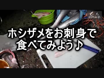 もっち釣動組合♪♯９ 後編【ドンコオフ会】