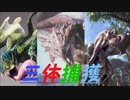 【MHW】  野良と一緒に3体捕獲してみた 【古代樹編】