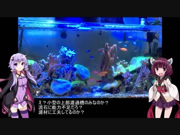 結月ゆかりとアクアリウム夜話　第5夜