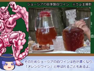 ゆっくり東方(オリエント)物語　番外編11「ジョージアワインについて」