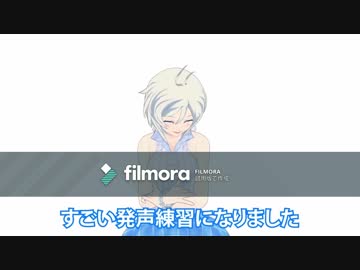 シロイルカ詰め合わせ