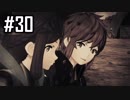 楽園を目指してゼノブレイド2をわくわく実況します！Part30