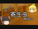 【ゆっくり解説】ゆっくり寄生虫解説#18~日本住血吸虫~