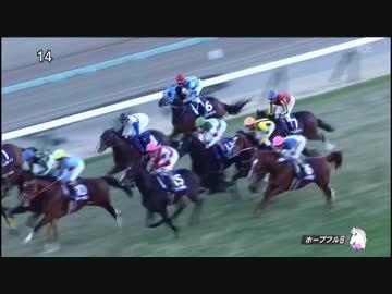 2017年　第34回 ホープフルS（GⅠ）【タイムフライヤー】