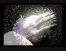 【初見実況】街 machi サウンドノベル Part133【SS版】