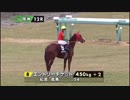 2017ファイナルステークス　《本馬場入場・ファイナルカウントダウン》