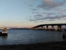 branch point