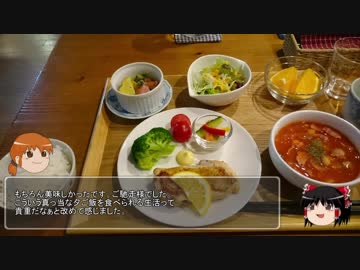 【ゆっくり】40のおっさんが北海道をバイクで一周するための作戦会議 43