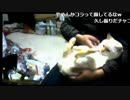 2017/12/20 02:00 【３時】 [ＤＳ]ドラゴンクエスト９ クリア後[] 2/2