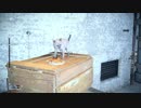 【ゆっくり実況】のんびり気ままにFF15寄り道プレイ【Part.160】