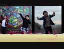 バタフライ・グラフィティ踊ってみた【mush】