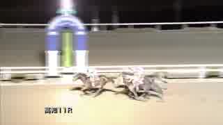 2017年12月28日高知競馬11R 香川県オリーブ特別(C1-1組) ロケットビーン
