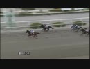 2017年12月29日園田競馬10R ＪＲＡ交流 揖保川特別 エーアガイツ