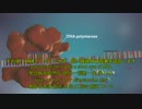 DNA replicationJEC
