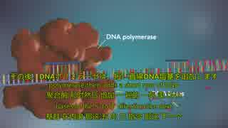 DNA replicationJEC