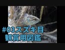 #03観賞用図鑑シリーズ