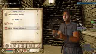 【RTA】The Elder Scrolls IV: Oblivion 