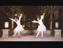 【刺客×九桃】やる気出せば出来るのに やる気だけが出て来ない