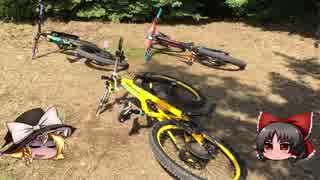 おっさんとMTBのある休日40