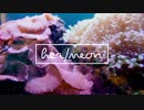 her - neon