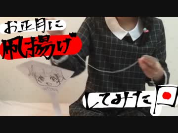 【2018】お正月なのでお正月のあそびしよう！【凧揚げ】