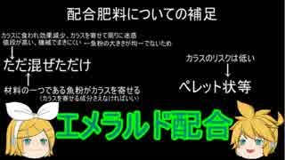 元産直店員の脱サラ農業　第七回