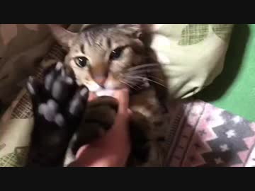 【おひさしぶりです。】ぼんちゃん近影【元気です。】