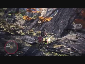 【Bloodborne】狩人狩り記録 9夜目【侵入】