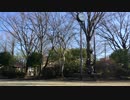 【そい】阿吽のビーツ踊ってみた