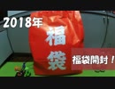 [2018年]NintendoDSの福袋を開封して得をした！！　　　　　　　？