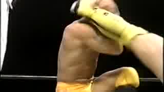 金原弘光 VS ジェームズ・ストーン 95年4月20日 UWF