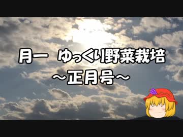 月一 ゆっくり野菜栽培 Part5（正月号）
