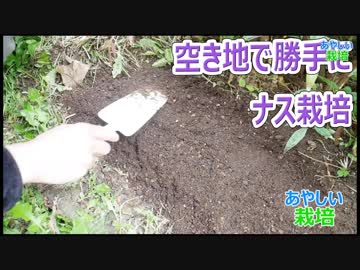 マンションの空地で勝手に野菜を栽培 ナス part1【あやしい栽培 第13回】