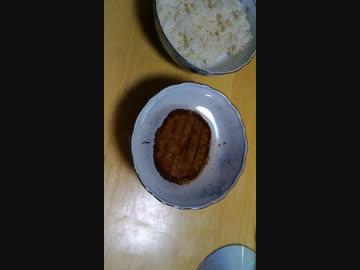 チーズinハンバーグが大気圧で潰れる(縦画面)